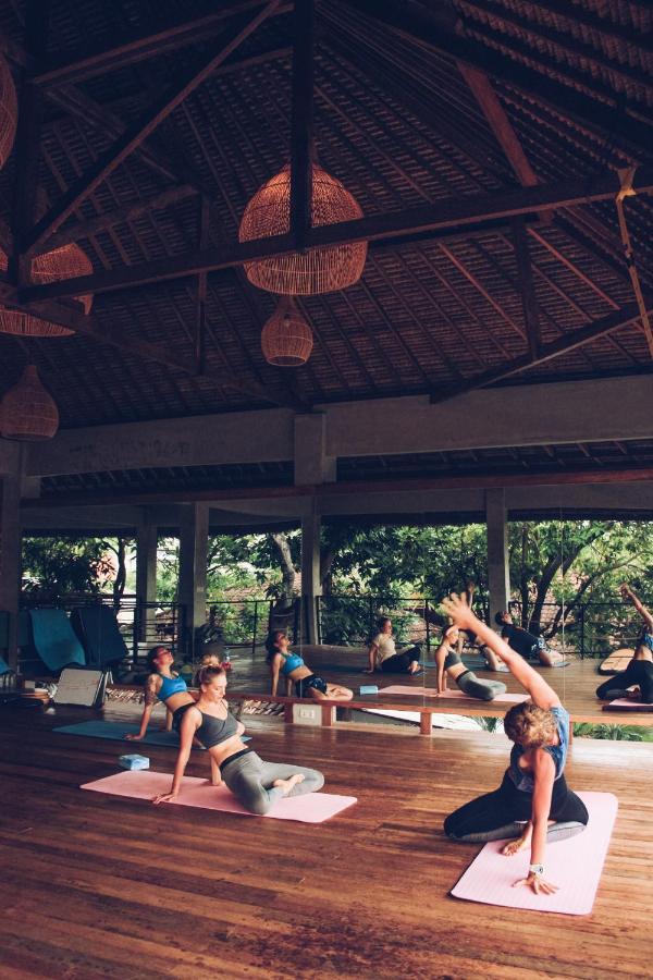 Apartment Endless Summer Surf Camp Kuta